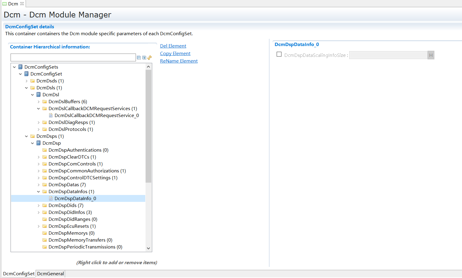 DcmDspDataInfo